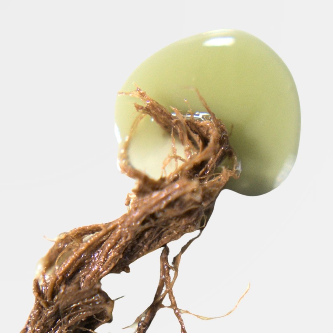 Flow Scalp and Hair Tonic for Scalp Problems